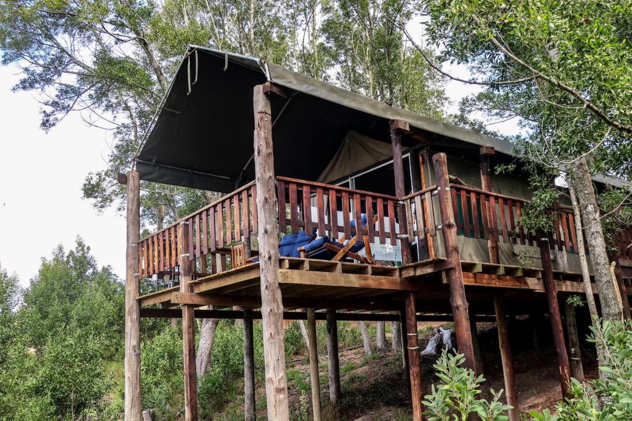 Fernhill Tented Treehouses Rheenendal Exteriör bild