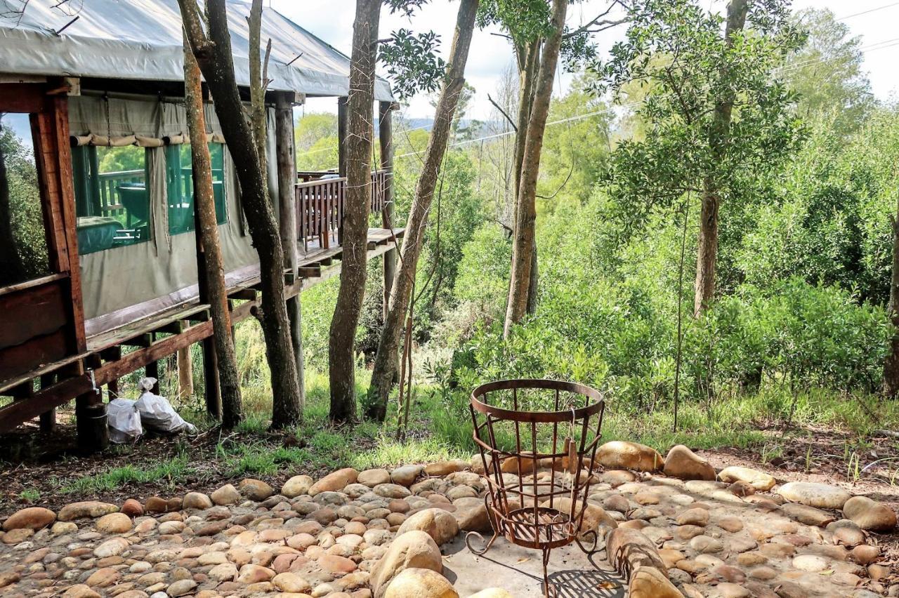 Fernhill Tented Treehouses Rheenendal Exteriör bild