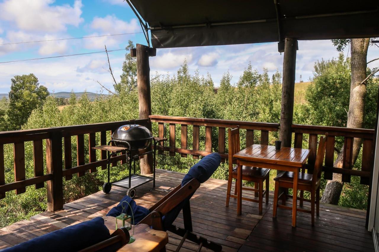 Fernhill Tented Treehouses Rheenendal Exteriör bild