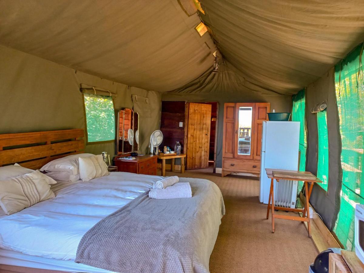 Fernhill Tented Treehouses Rheenendal Exteriör bild