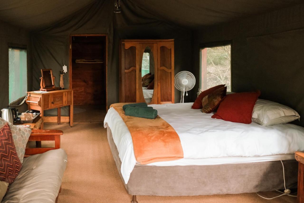 Fernhill Tented Treehouses Rheenendal Exteriör bild