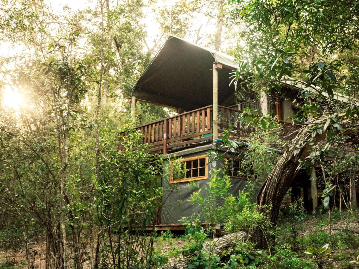 Fernhill Tented Treehouses Rheenendal Exteriör bild