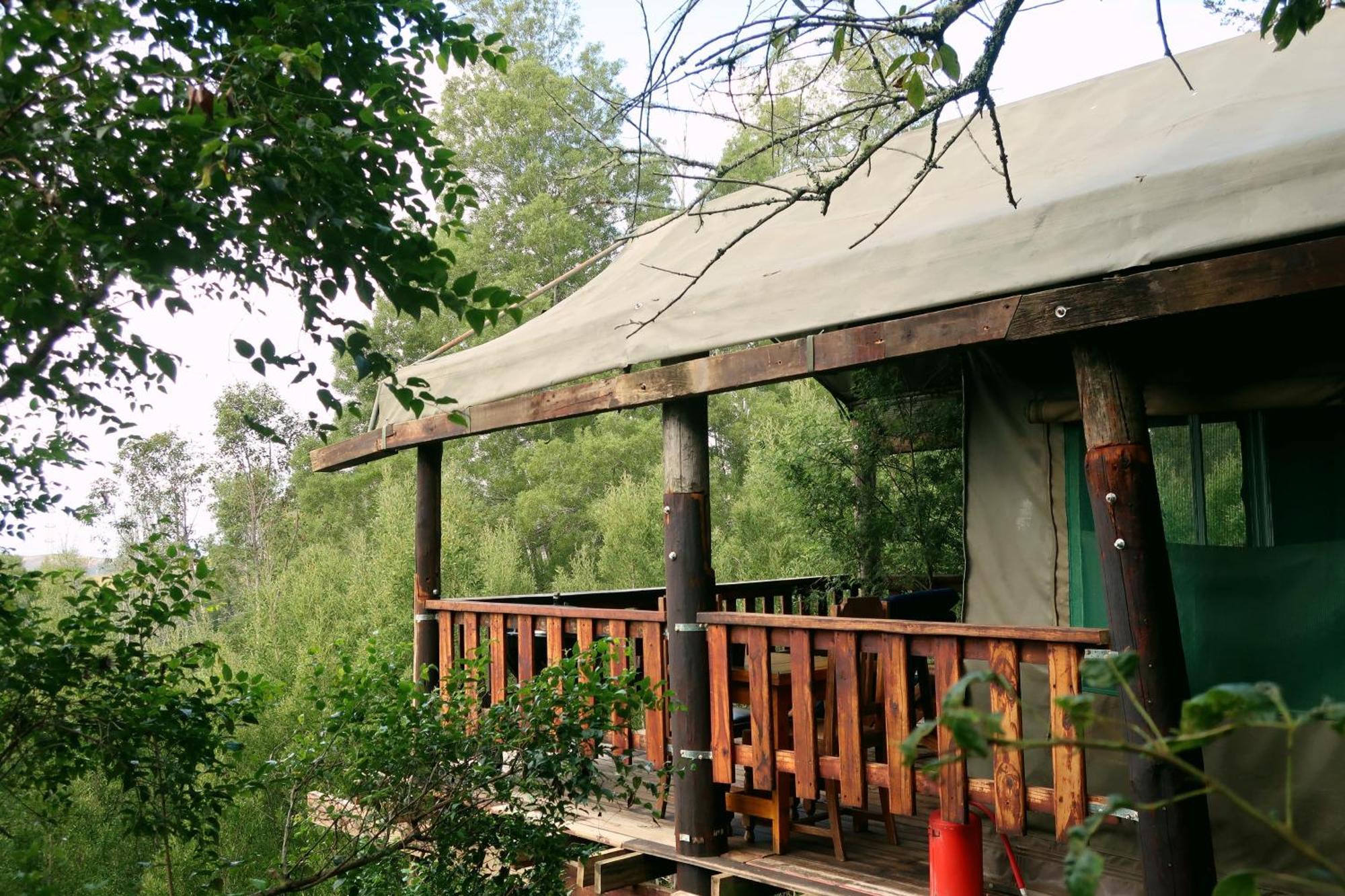 Fernhill Tented Treehouses Rheenendal Rum bild