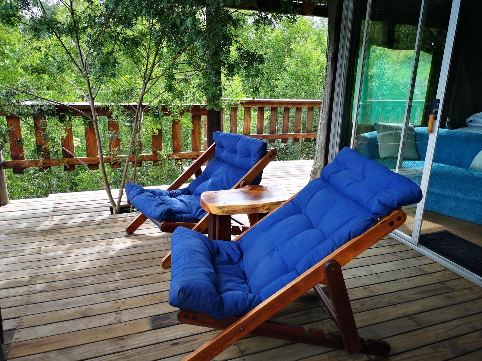 Fernhill Tented Treehouses Rheenendal Rum bild