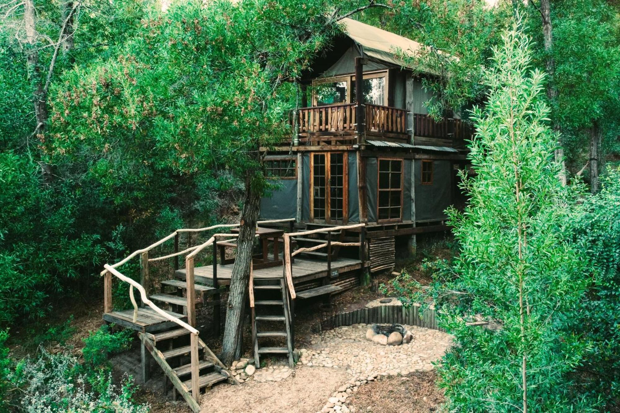 Fernhill Tented Treehouses Rheenendal Exteriör bild